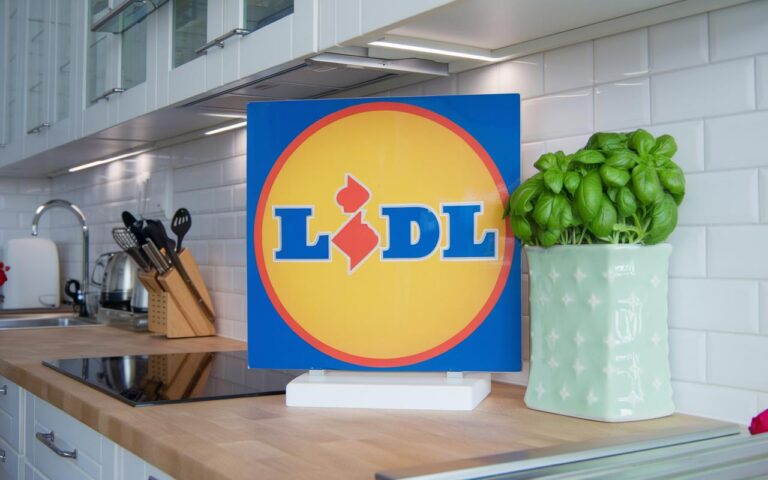 Scopri il Must-Have di Lidl a Solo 9,99€